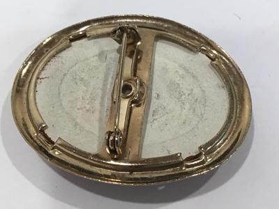 Dragons Eye Clay or pottery Vintage Brooch