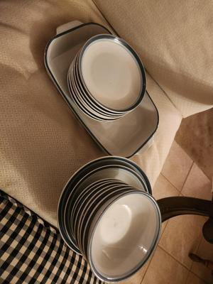 White and Blue Dishes