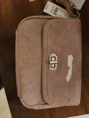 Pale Pink Purse