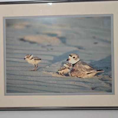 Sale Photo Thumbnail #1485