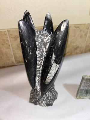 ORTHOCERAS FOSSIL AND FLUORITE CRYSTAL FROM CHINA