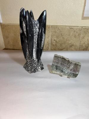 ORTHOCERAS FOSSIL AND FLUORITE CRYSTAL FROM CHINA