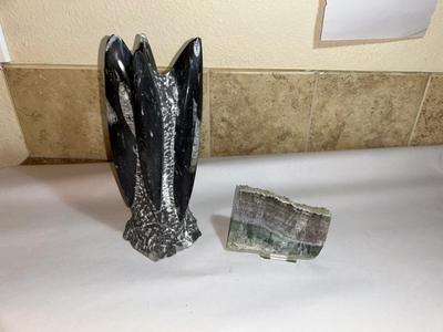 ORTHOCERAS FOSSIL AND FLUORITE CRYSTAL FROM CHINA