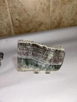 ORTHOCERAS FOSSIL AND FLUORITE CRYSTAL FROM CHINA