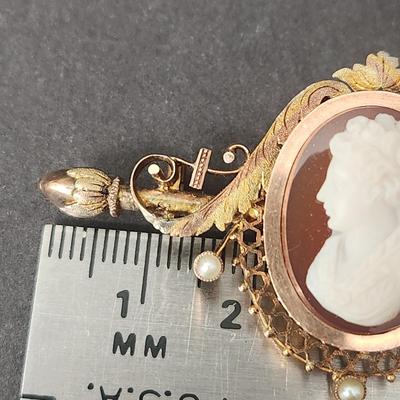 Antique Cameo Brooch and Earings Set