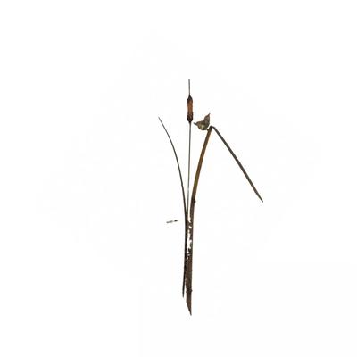 Sale Photo Thumbnail #1382: Comes with nails for display on wall
Measures: 3' 4" high x 19" wide
Late 20th century bronze bird sculpture with rushes and reed titled "Nuthatch" by Georgia Gerber  ; cast of the artist's foundry on Whidbey Island, Washington; wall hung; very good condi