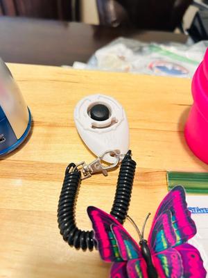 A BUNCH OF NICELY SORTED STICKERS, HOLE PUNCH, MUSIC BULLET SPEAKER, MAGNETS, SMALL ORGANIZERS AND MORE!