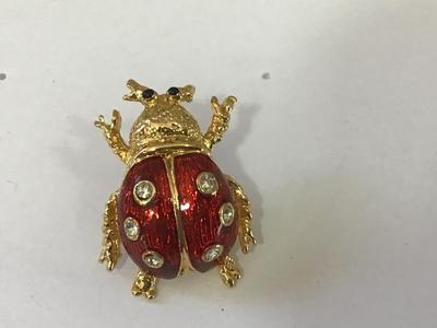 Lady Bug Lapel Pin