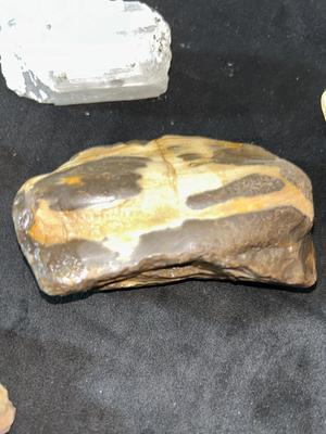 PETRIFIED WOOD, RED JASPER, PURPLE ALUMITE CRYSTAL CLUSTER, AND OTHER MINERALS