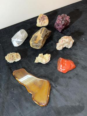 PETRIFIED WOOD, RED JASPER, PURPLE ALUMITE CRYSTAL CLUSTER, AND OTHER MINERALS
