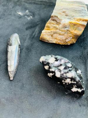 MOSS AGATE, PETRIFIED WOOD, YELLOW JASPER , SNOWFLAKE OBSIDIAN AND MORE!