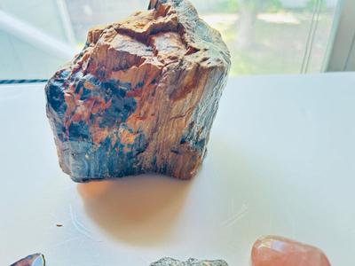 LARGE PIECE OF PETRIFIED WOOD, CRYSTAL, AND OTHER POLISHED STONES