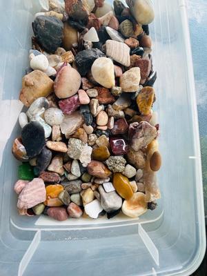 1 GALLON BAG FULL OF ROCKS, MINERALS & STONES