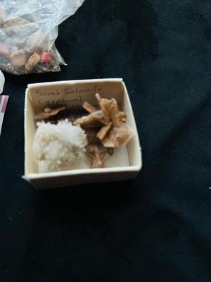 AMETHYST, AQUA MARINE, RAW CHINESE GARNETS, PEACOCK BORNITE, MINERALS THAT LOOK LIKE THE NEED TO BE PANNED, AND MORE!