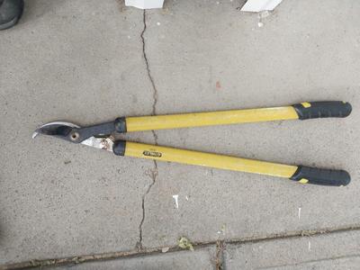 VASES AND CUTTING SHEERS