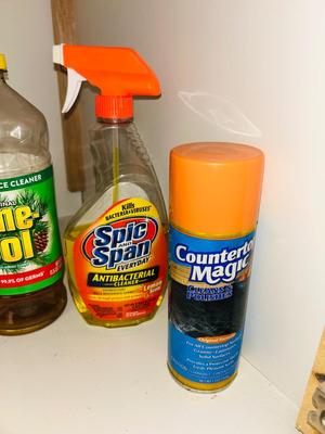 BISSEL CARPET STAIN REMOVERS, PINE-SOL, AND OTHER CLEANING SUPPLIES