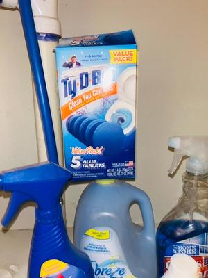 BISSEL CARPET STAIN REMOVERS, PINE-SOL, AND OTHER CLEANING SUPPLIES