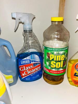BISSEL CARPET STAIN REMOVERS, PINE-SOL, AND OTHER CLEANING SUPPLIES