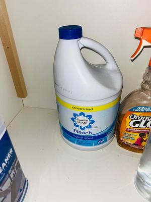 TRIO OF DAZZ CLEANERS, BLEACH,CARPET CLEANER, TOILET BOWL TABLETS, DISINFECTING WIPES AND MORE