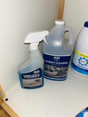 TRIO OF DAZZ CLEANERS, BLEACH,CARPET CLEANER, TOILET BOWL TABLETS, DISINFECTING WIPES AND MORE