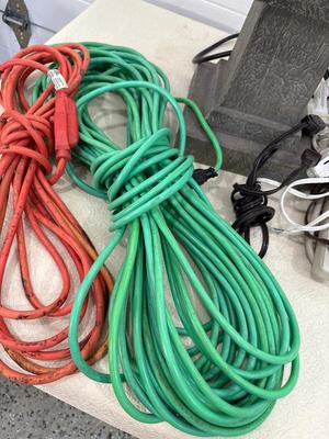 Bird fountain and extension cords