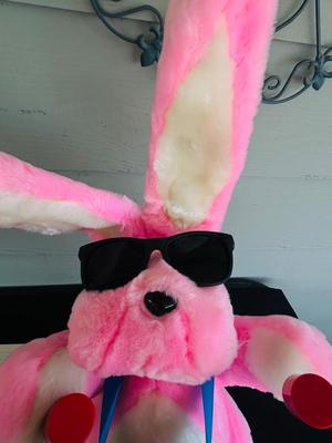 ENERGIZER BUNNY AND ARTIST AUTOGRAPH BOOK