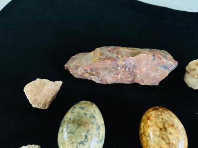 SAND DOLLARS, PETRIFIED WOOD, TRILOBITES AND MORE