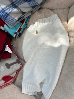 LARGE DOG BED, BLANKETS AND FEEDING/WATERING DISHES