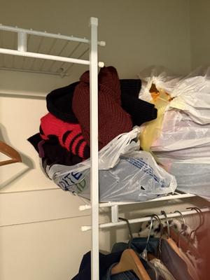 LOT 199L: Coat Closet Clearout! Scarves & More