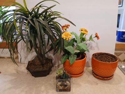 Retro Faux Plant Decor Lot – 5 Pieces