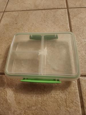 3 Section Tupperware w/ Green Lining