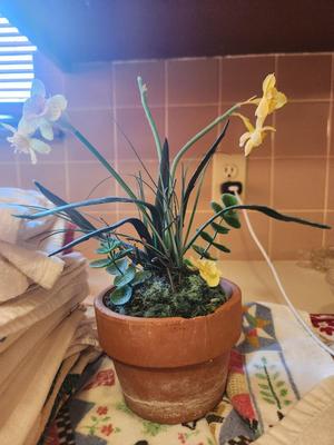 Terracotta Pot w/ Yellow Fake Flowers