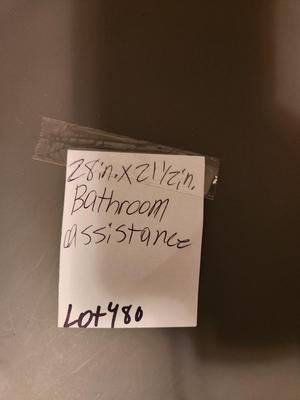 Bathroom Assistance