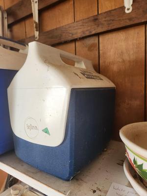 Little Playmate Cooler