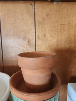 Small Terracotta Pot