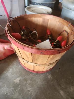 Basket w/ Christmas Lights