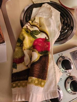 Apple Themed Oven Rag