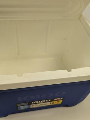 Small Igloo Cooler