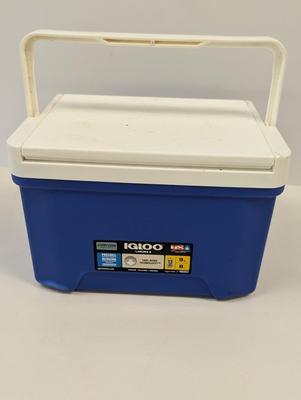 Small Igloo Cooler
