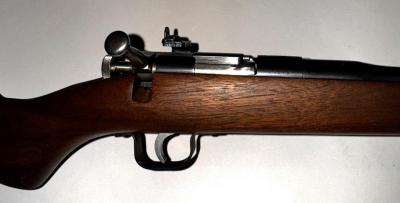 Chipmonk .22 Caliber Single Shot Bolt Action Rifle