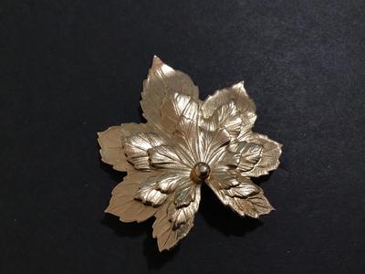 Vin gold Tone Brooch