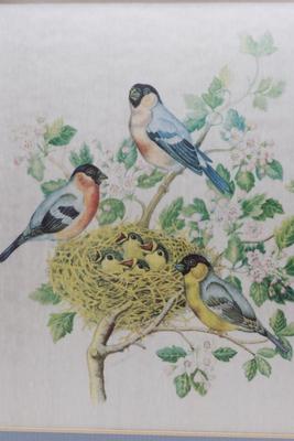 Framed Vintage Silk Bird Print in Gilt Frame