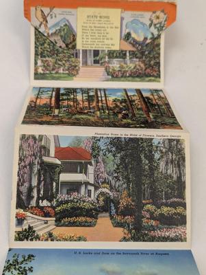 1940's Georgia & Florida Postcards & The Magic City Book