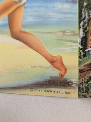 1940's Georgia & Florida Postcards & The Magic City Book