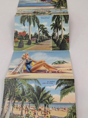 1940's Georgia & Florida Postcards & The Magic City Book