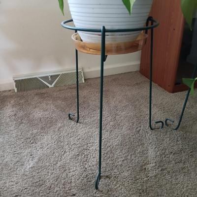 LOT 27L: Pair of Pothos Plants with Metal Stands