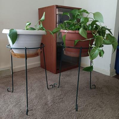 LOT 27L: Pair of Pothos Plants with Metal Stands