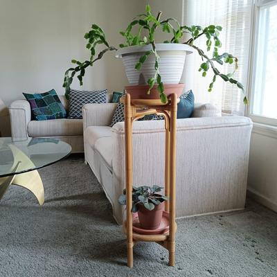 LOT 31L: Christmas Cactus and African Violet with Bamboo Stand