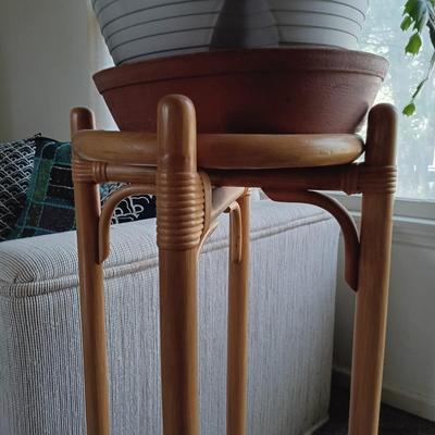 LOT 31L: Christmas Cactus and African Violet with Bamboo Stand