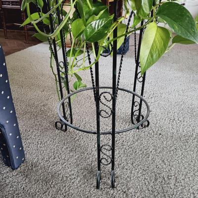 LOT 34L: Large Pothos Plant with Metal Plant Stand
